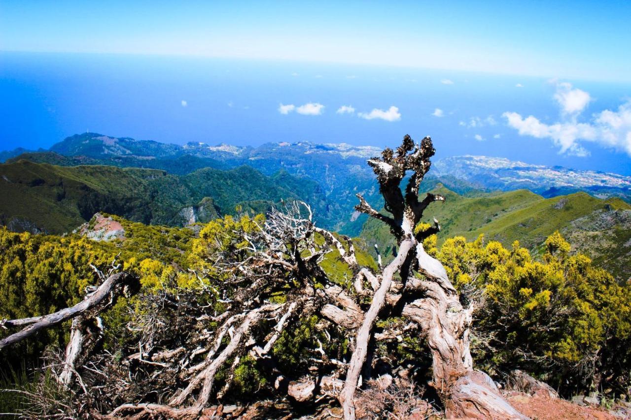 Villa Scirocco Madeira - Ocean View Machico  Zewnętrze zdjęcie